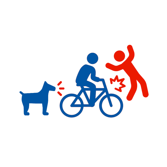 Protégez-vous des pitreries de votre chien